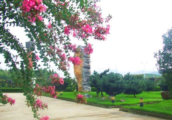 企业风景